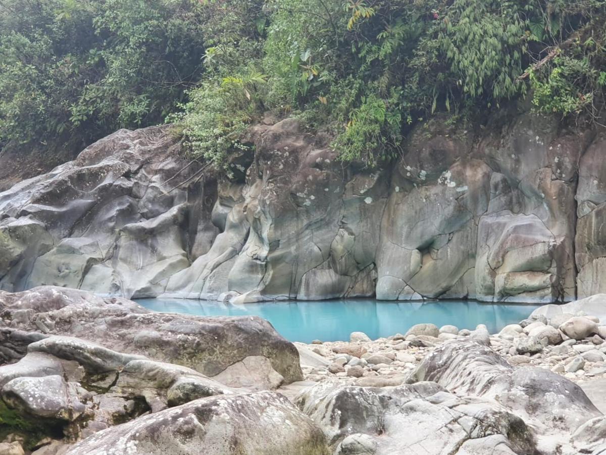 Bajos del Toro Selvatica Del Toro 아파트 외부 사진