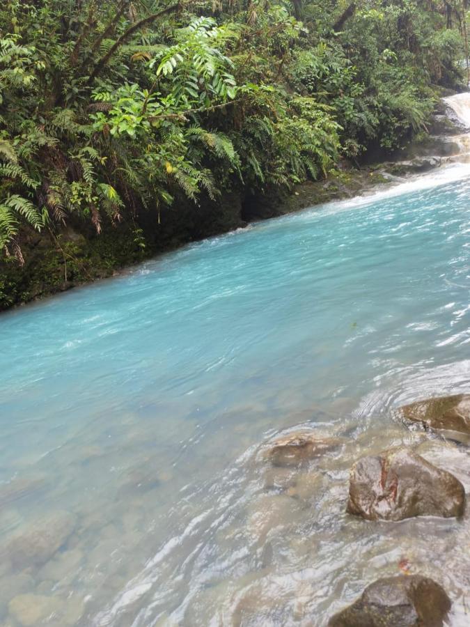 Bajos del Toro Selvatica Del Toro 아파트 외부 사진